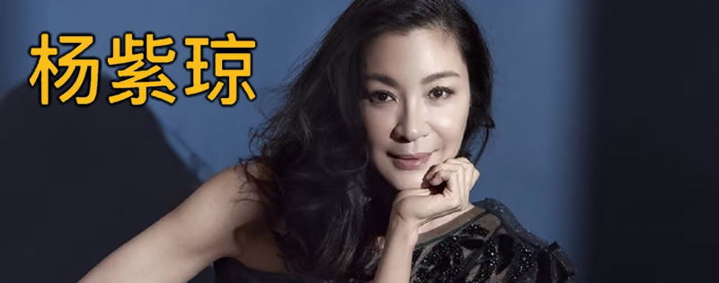 功夫女王-杨紫琼