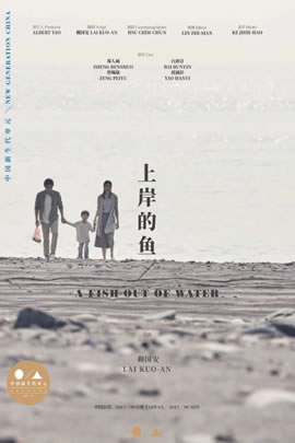 上岸的鱼