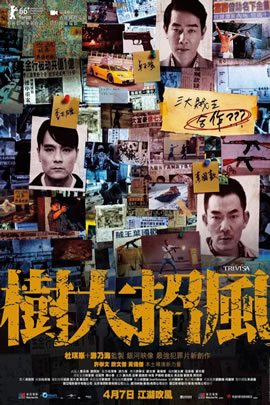 树大招风