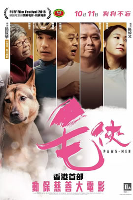 毛侠