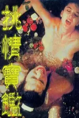 素女经之挑情宝鉴