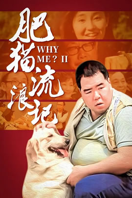 肥猫流浪记