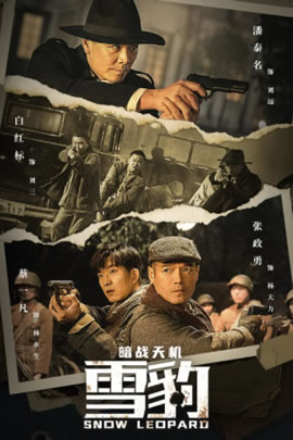 雪豹之暗战天机