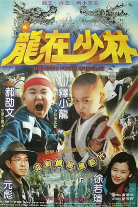 龙在少林